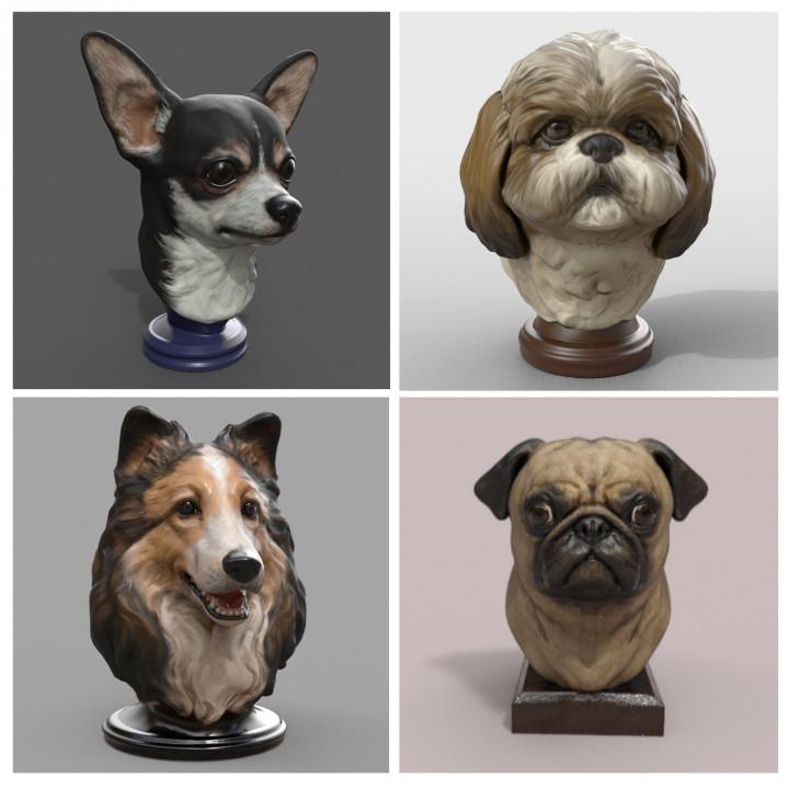 Four dog busts on stands against gray backgrounds